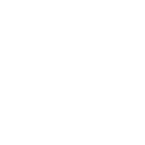 Workshop Networking Lucrativo